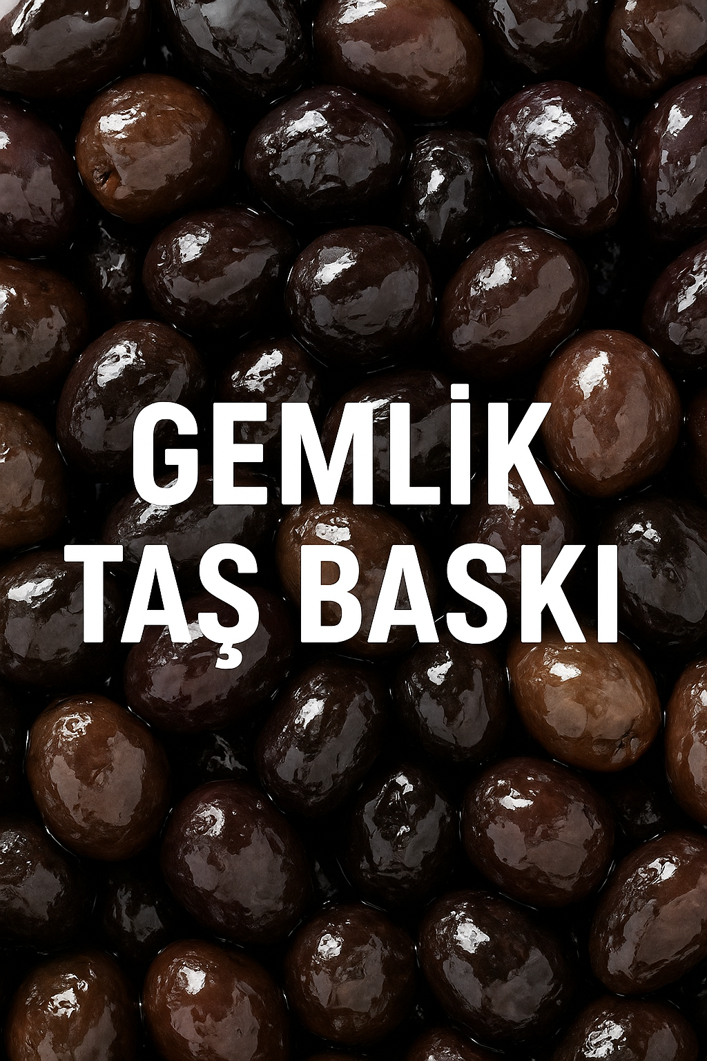 gemlik tipi zeytin (iri) 1 kg